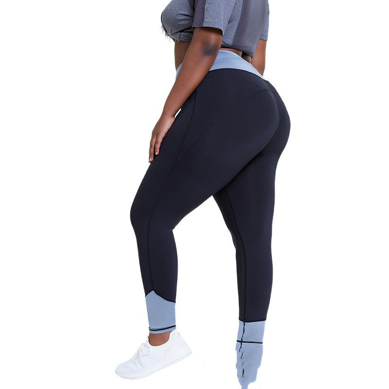 https://static.hzpdex.com/3d4c393d-b41e-4e01-a861-016710f86c3b.jpg