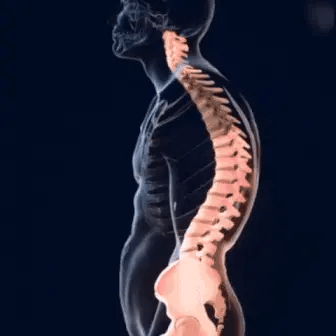 Posture Corrector – Relieve Back Pain & Improve Confidence Daily